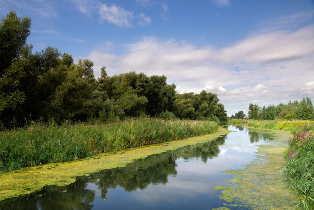 Nationaal Park de Biesbosch shutterstock 1821723218, Te doen met kinderen in Noord-Brabant
