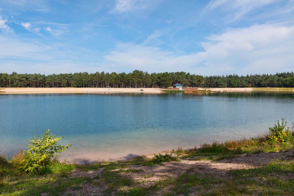 Zandenplas Nunspeet Veluwe Gelderland shutterstock 2079718204, Te doen met kinderen op de Veluwe