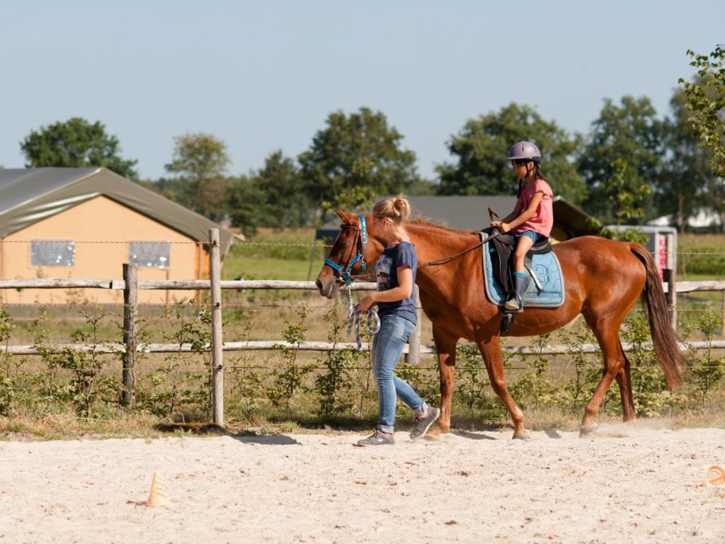 FarmCamps BoeBaDoe 4, farmcamps boebadoe