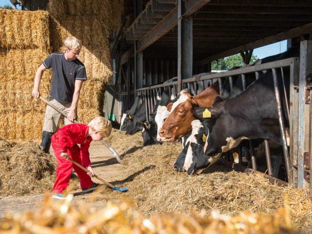 FarmCamps BoeBaDoe 5, farmcamps Op de Beemd