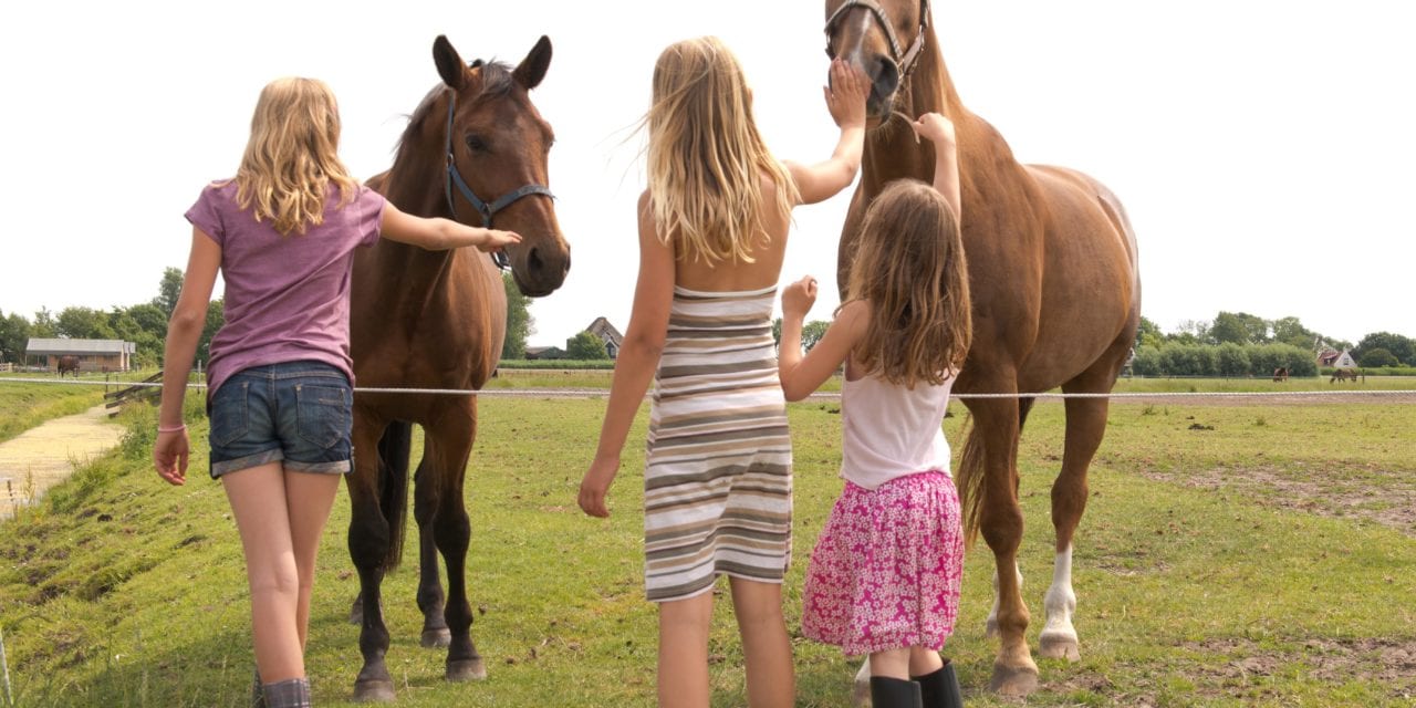 FarmCamps Fleur Stables