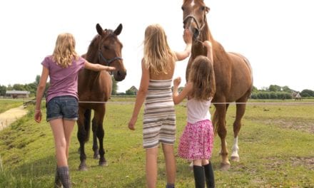 FarmCamps Fleur Stables