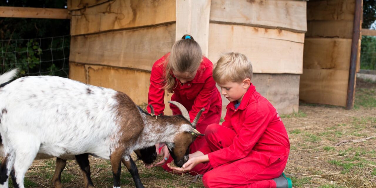 FarmCamps Op Flakkee