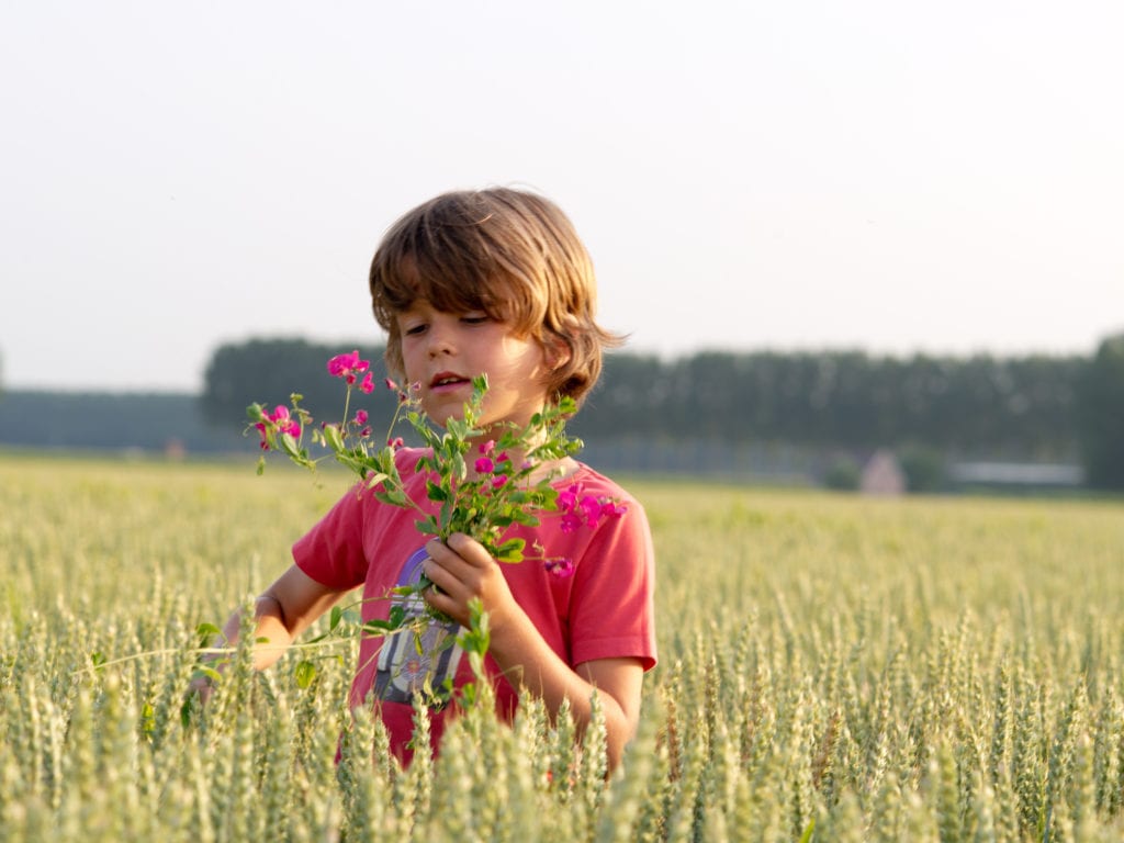 FarmCamps de Kamperhoek 1, Farmcamps oranjepolder