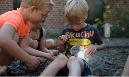 FarmCamps Oranjepolder