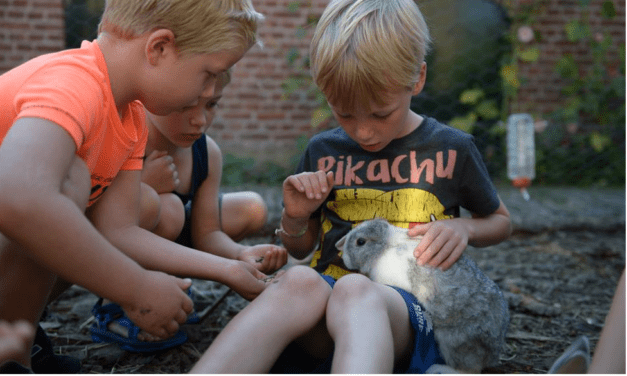 FarmCamps Oranjepolder