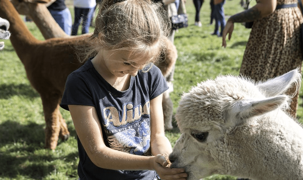 FarmCamps Vorstenbosch