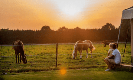 FarmCamps De Smulhoeve