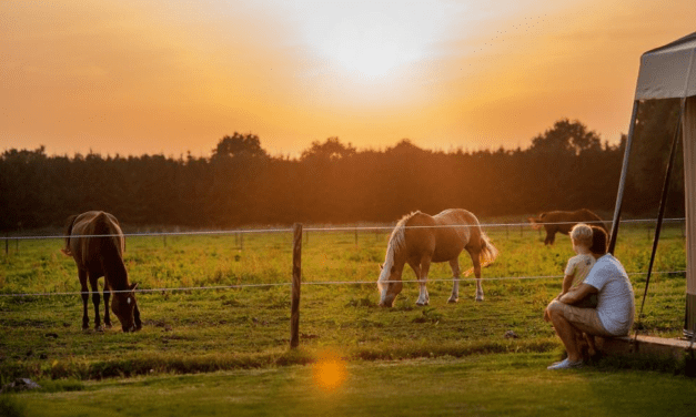 FarmCamps De Smulhoeve