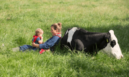 FarmCamps Den Branderhorst