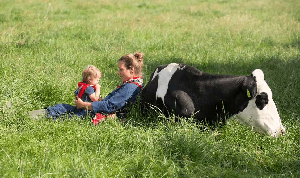 FarmCamps Den Branderhorst