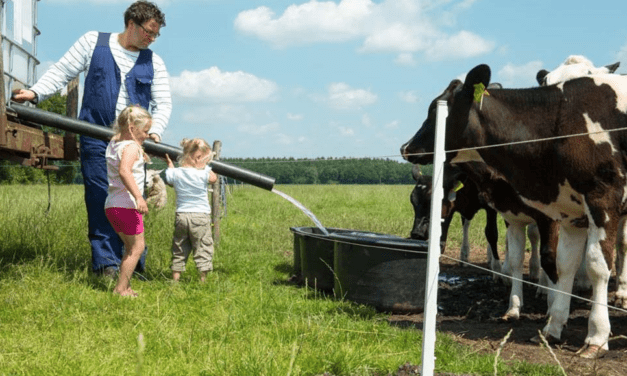 FarmCamps Boerderij ’t Looveld