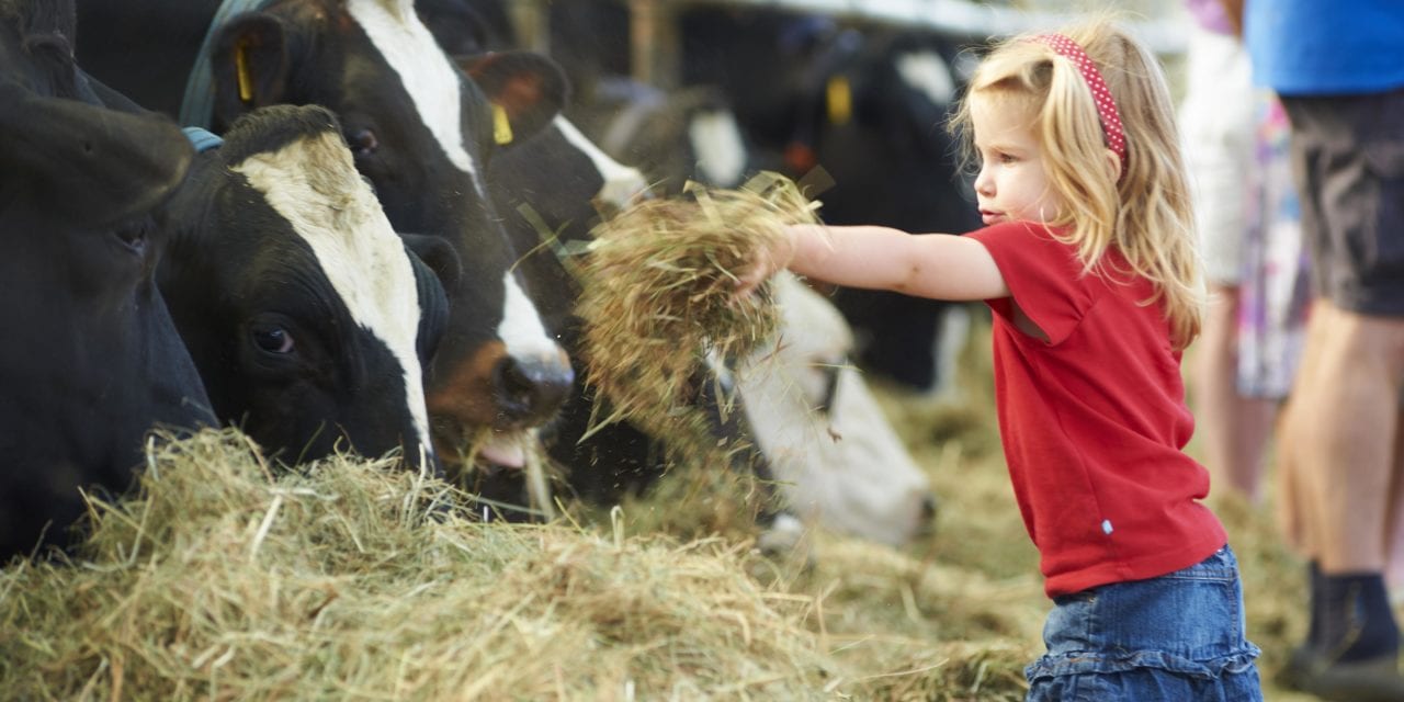 FarmCamps Hoeve Sonneclaer