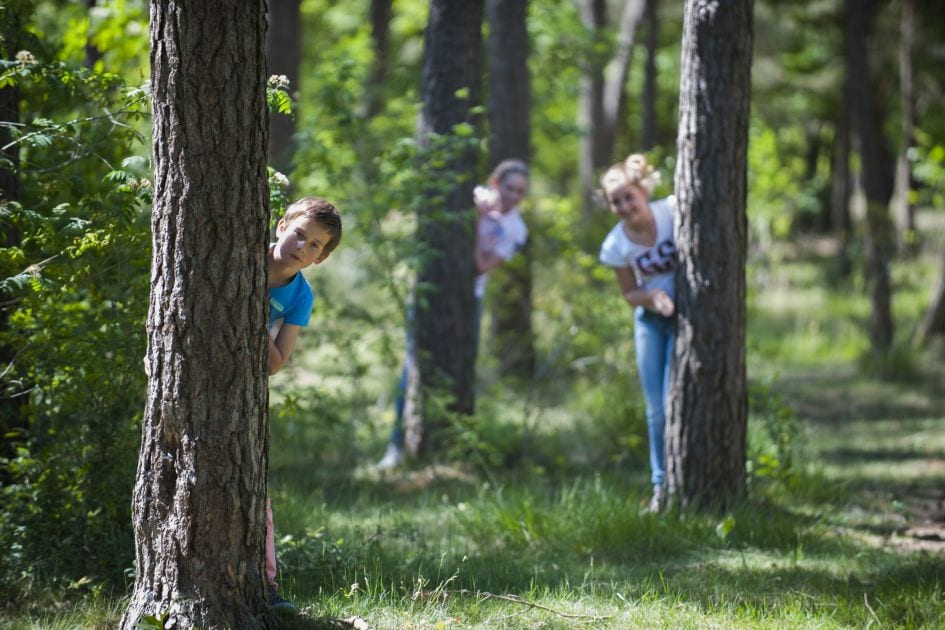 Roompot De Katjeskelder speelbos, roompot de katjeskelder