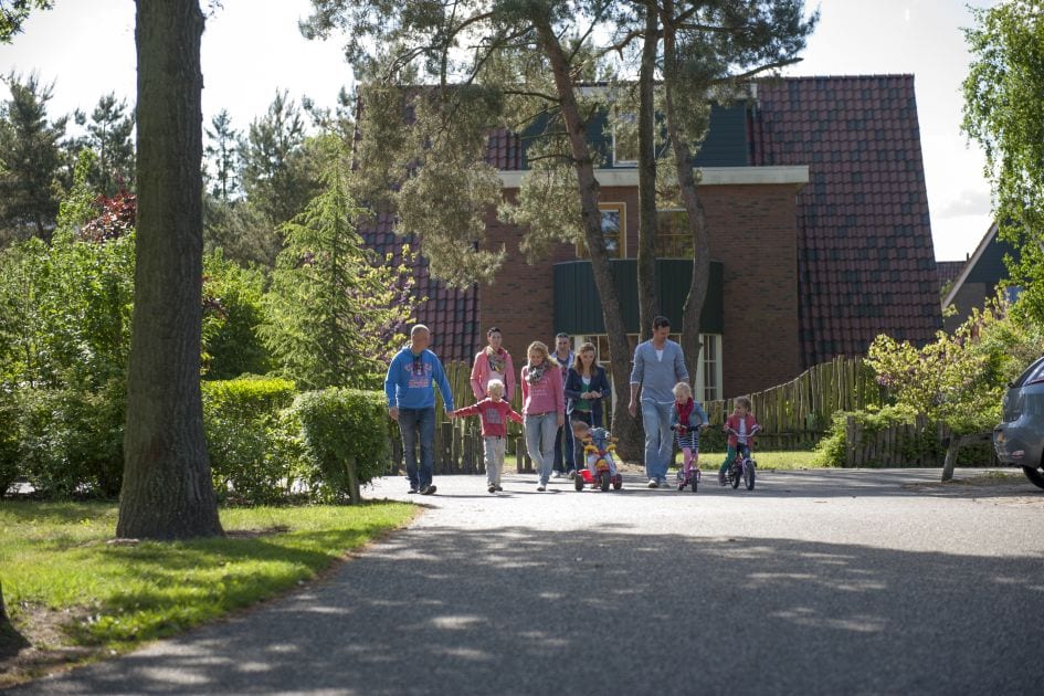 Roompot De Katjeskelder