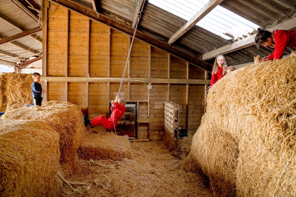 FarmCamps Boerderij t Looveld 2, Ardoer Camping de Reeënwissel