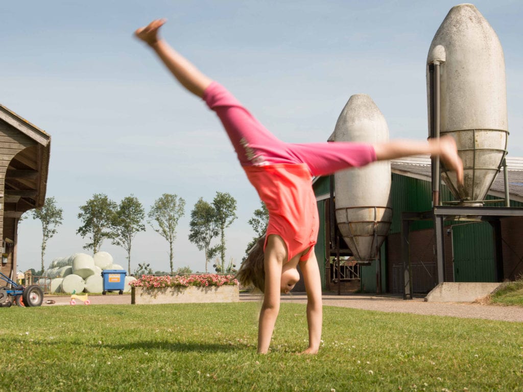 FarmCamps De Geele Bosch 03, farmcamps Op de Beemd