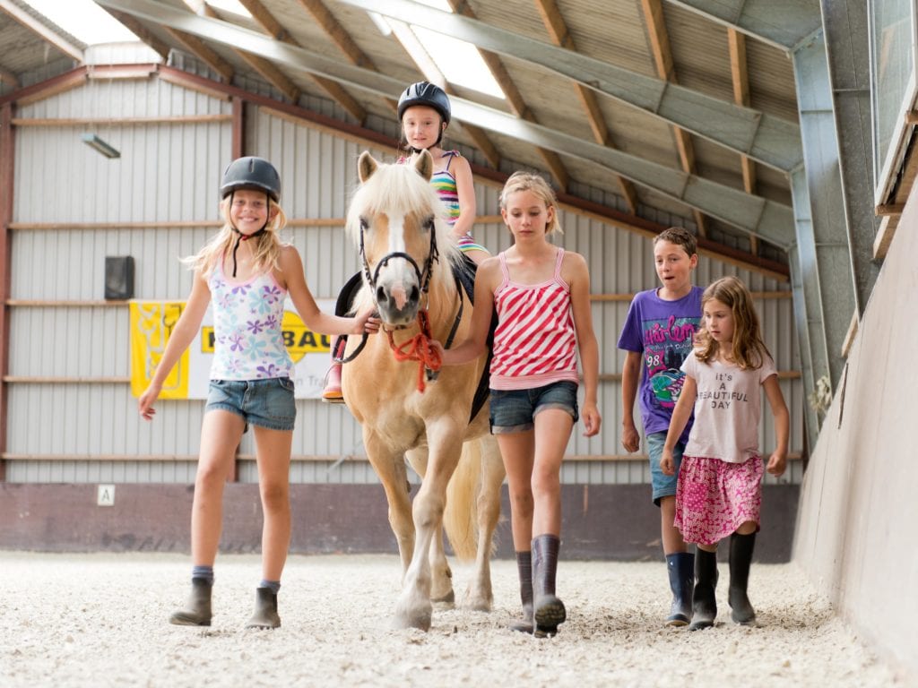 FarmCamps Fleur Stables ponyles, farmcamps Op de Beemd