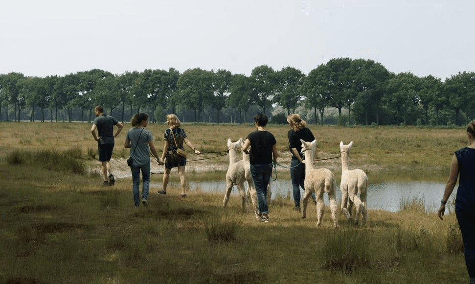 Farmcamps Vorstenbosch 3, farmcamps de smulhoeve