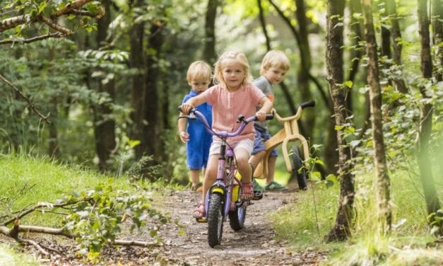 Vakantiepark Het Land van Bartje