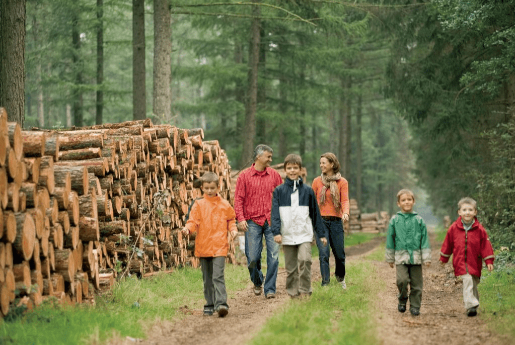 Hof van Saksen Vakantiekidz 3, Molecaten Park Kuierpad