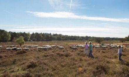 Top-20 Leukste Kindvriendelijke vakantieparken in Drenthe