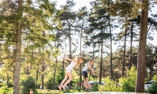 Top-15 kindercampings in Drenthe
