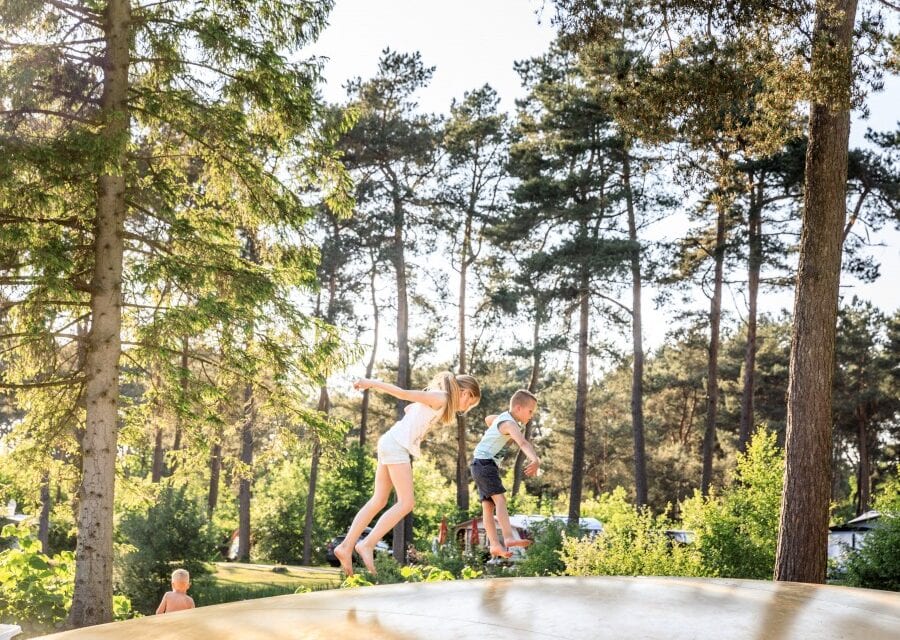 Top-15 kindercampings in Drenthe