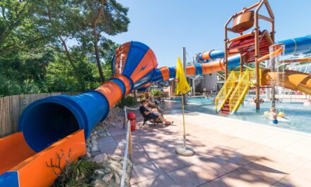 Top-10 Leukste kindvriendelijke vakantieparken in Overijssel