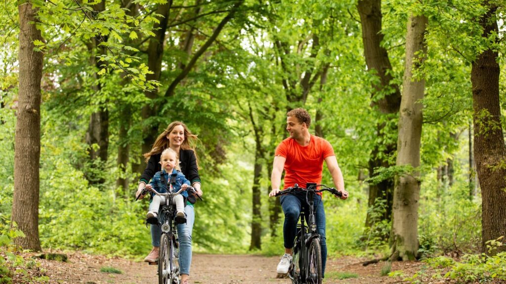 Landgoed de Scheleberg 2, Molecaten Park De Leemkule