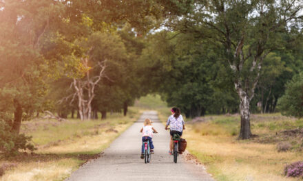 Top-15 Kindvriendelijke vakantieparken op de Veluwe