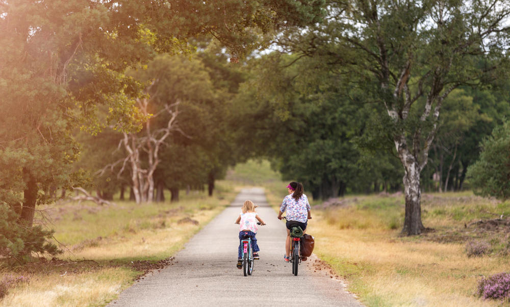 Top-15 Kindvriendelijke vakantieparken op de Veluwe