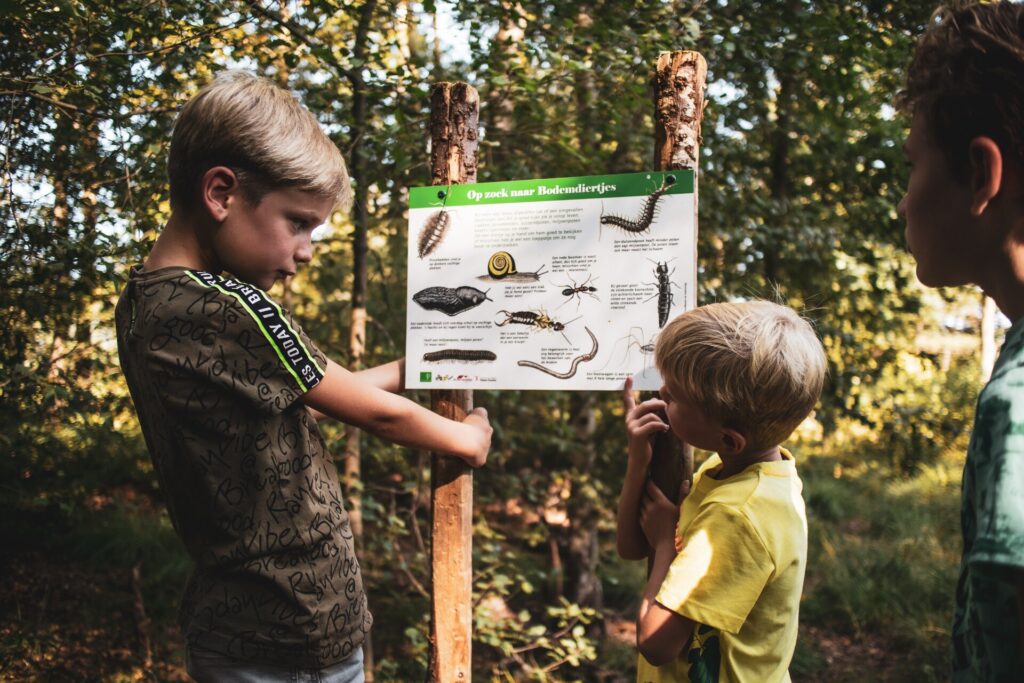 Bungalowpark Het Hart van Drenthe 2, EuroParcs Ruinen