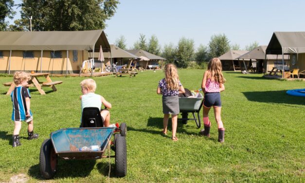 Top-12 Kindercampings in Zeeland