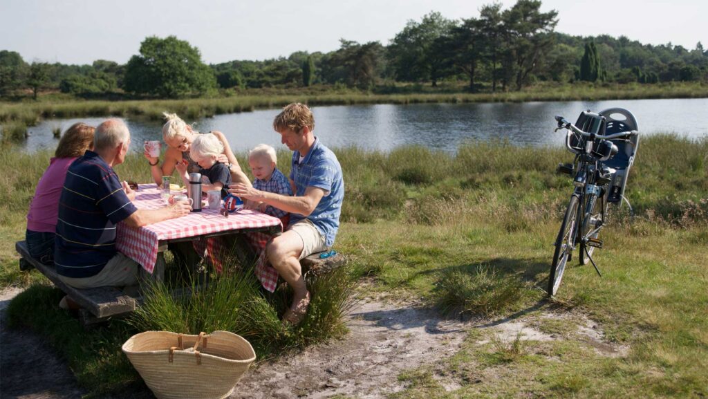 Molecaten Park t Hout 2, Molecaten Park 't Hout