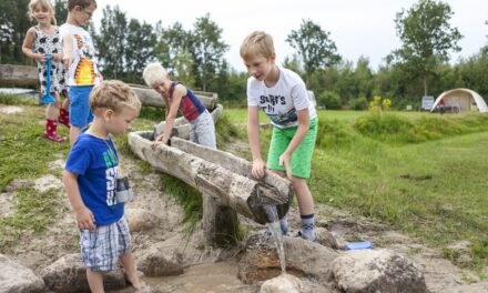 Ardoer Camping de Reeënwissel