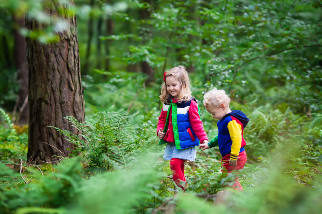 Ardoer Vakantiepark Diana Heide 3, Ardoer Vakantiepark Cnossen Leekstermeer