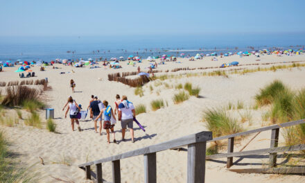 Top-15 Kindvriendelijke vakantieparken in Zuid-Holland