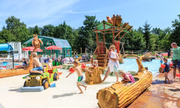 Top-20 Kindercampings in Gelderland