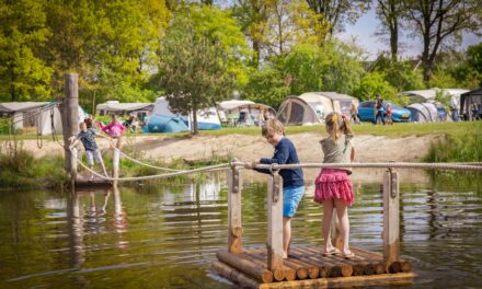 Top-20 Kindercampings in Overijssel