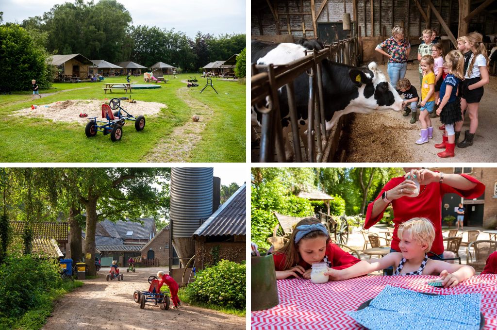 FarmCamps Den Branderhorst, Kindercamping Gelderland