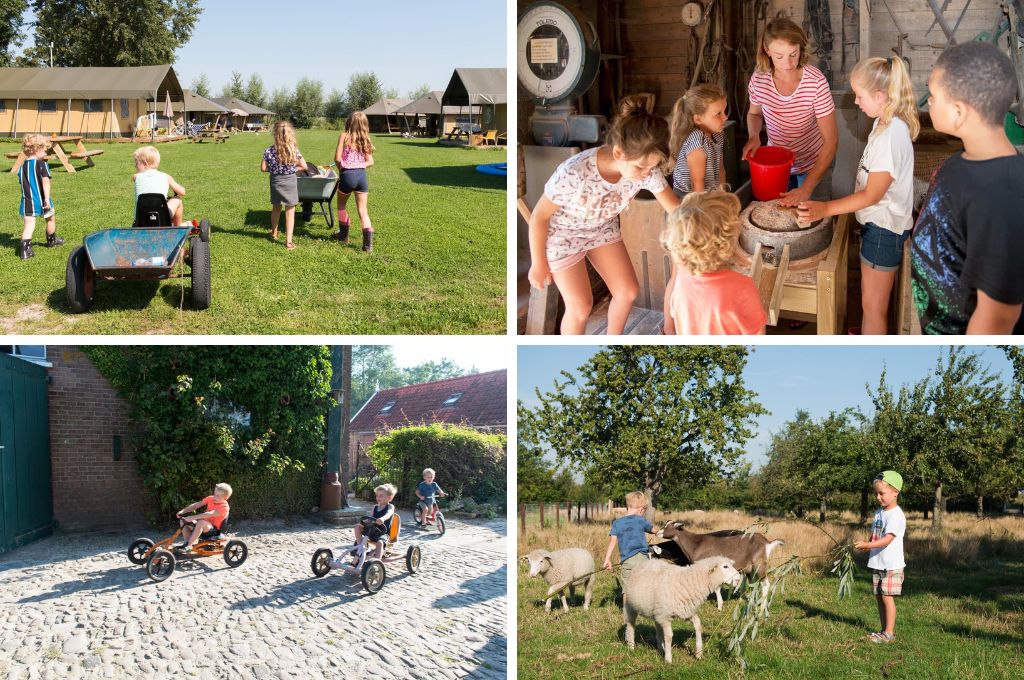 FarmCamps Oranjepolder, Kindercampings Zeeland