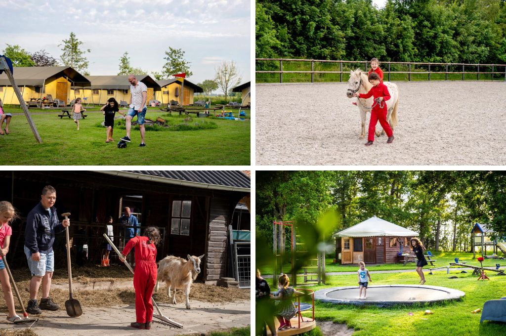 FarmCamps De Geele Bosch, Kindercampings Friesland