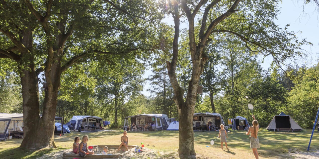 Top-10 kindercampings in Friesland