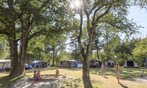 Top-10 kindercampings in Friesland