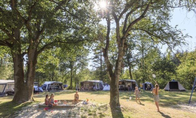 Top-12 kindercampings in Friesland