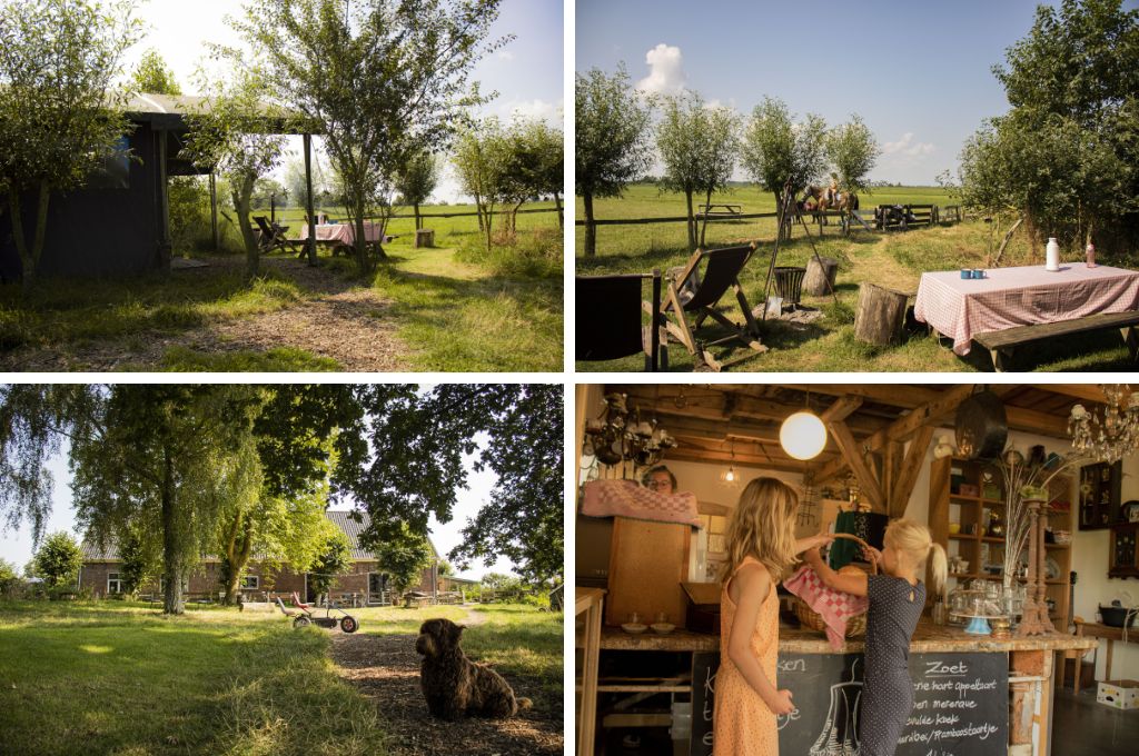 Boerenbed TaarTenTuin, Kindercampings Zuid-Holland