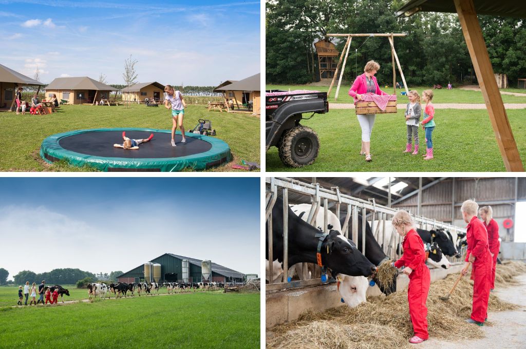 FarmCamps Op Flakkee, Kindercampings Zuid-Holland