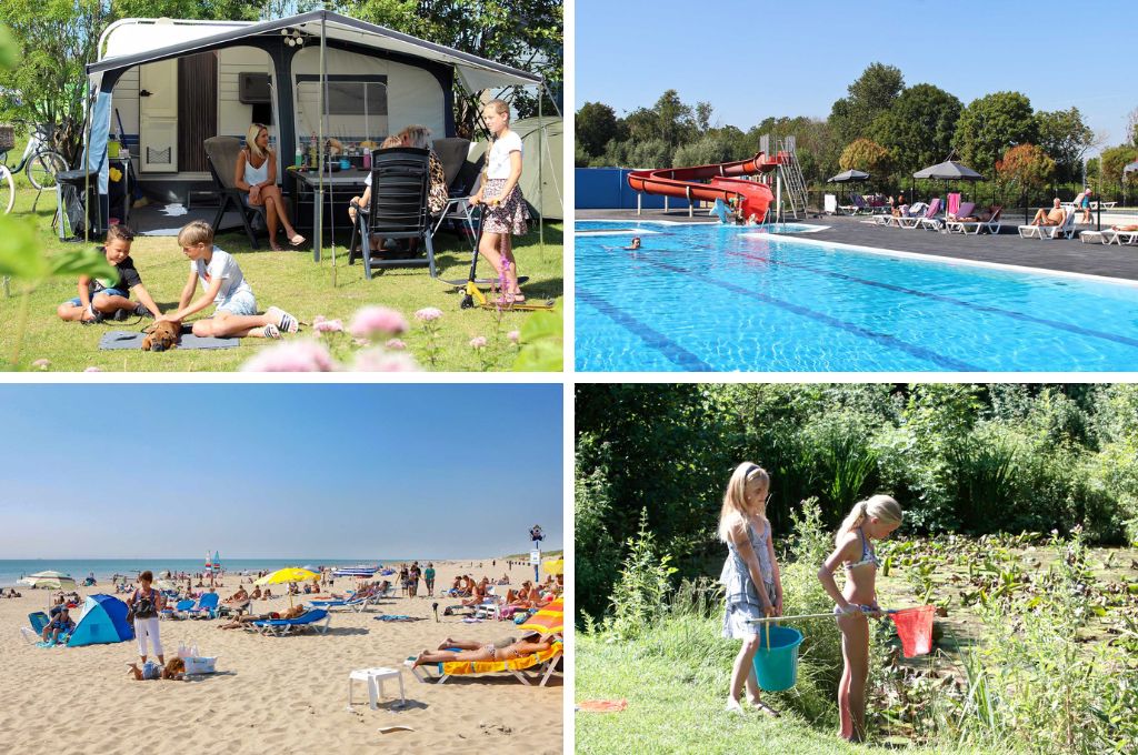 Molecaten Park Rondeweibos, Kindercampings Zuid-Holland