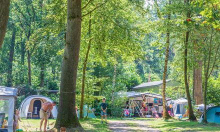 Top-10 Kindercampings op de Veluwe